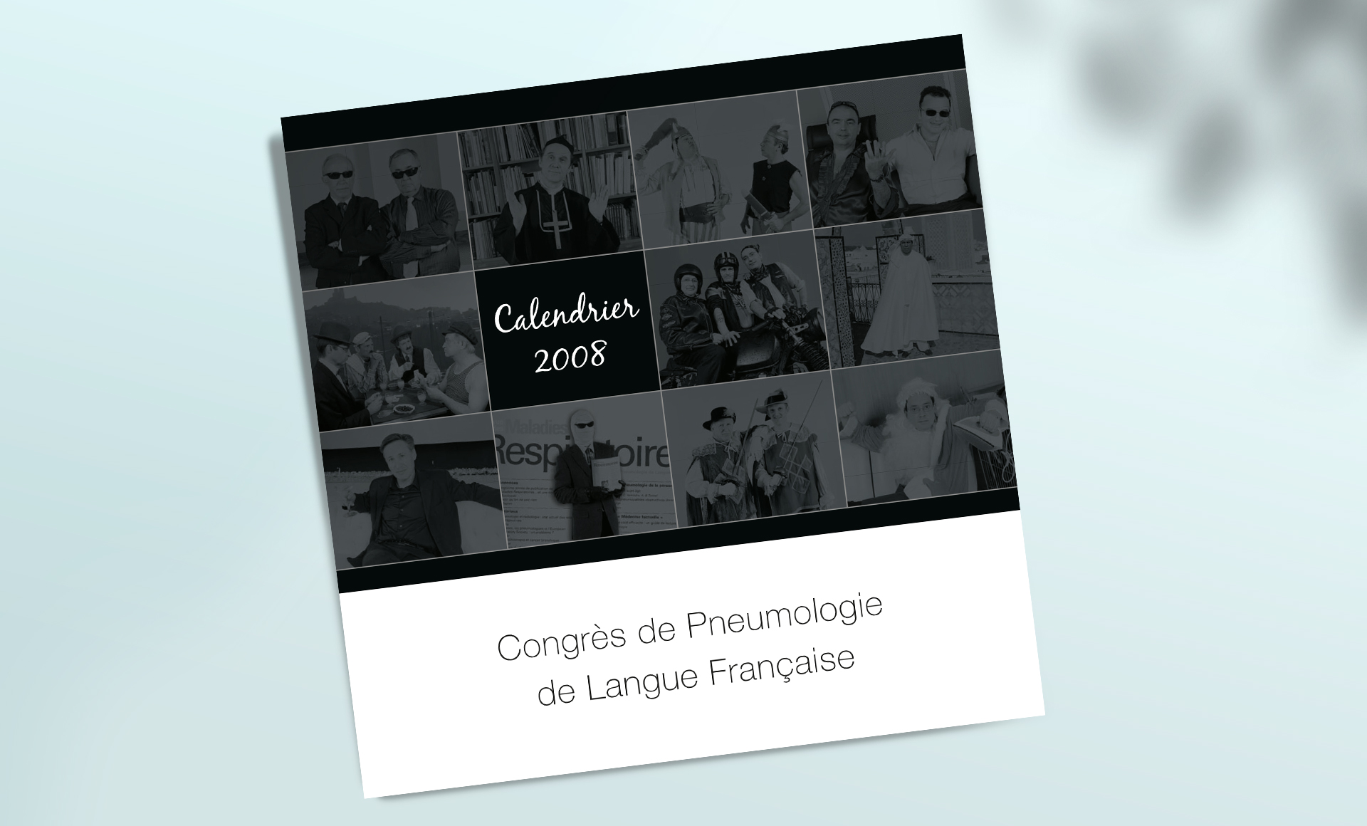 Boehringer, calendrier 2008