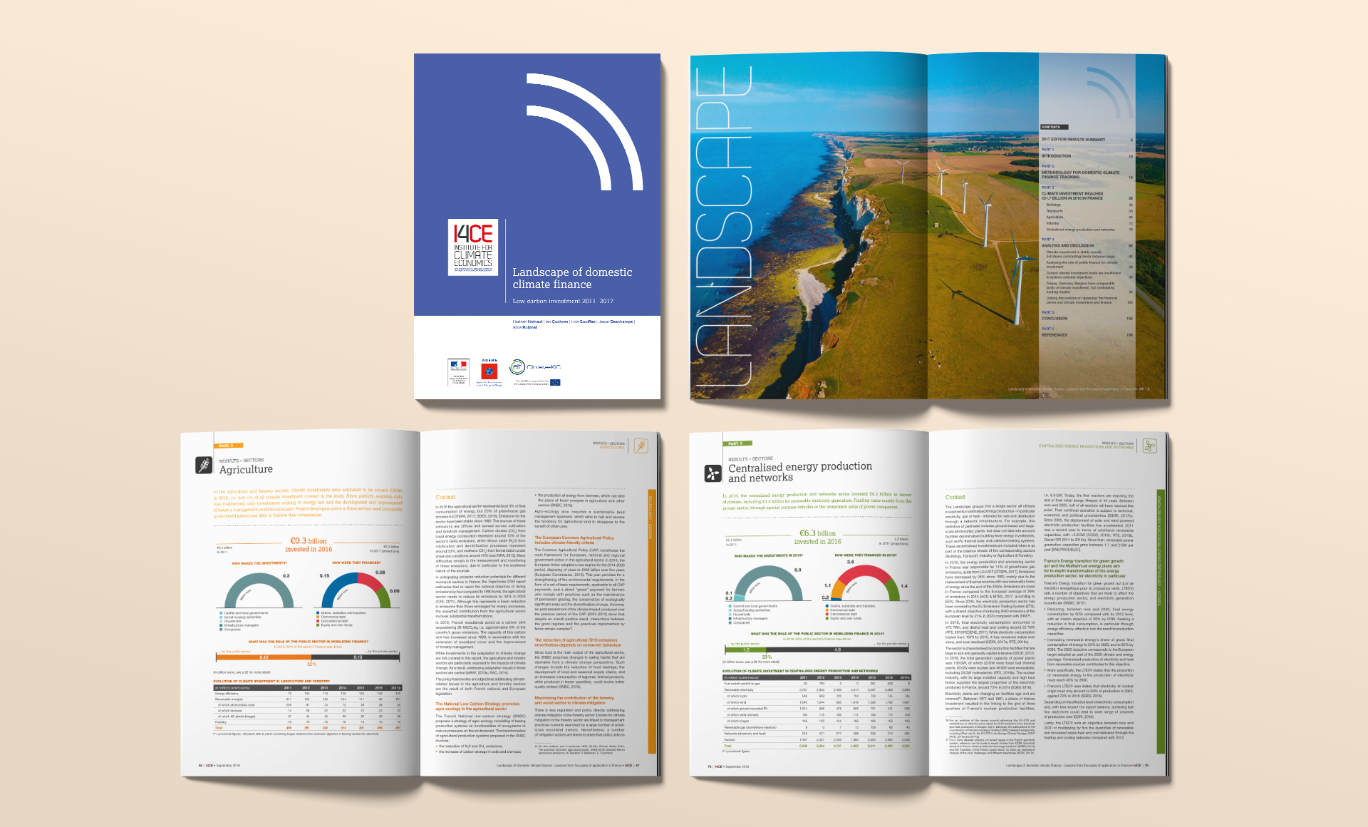 I4CE, rapport Landscape