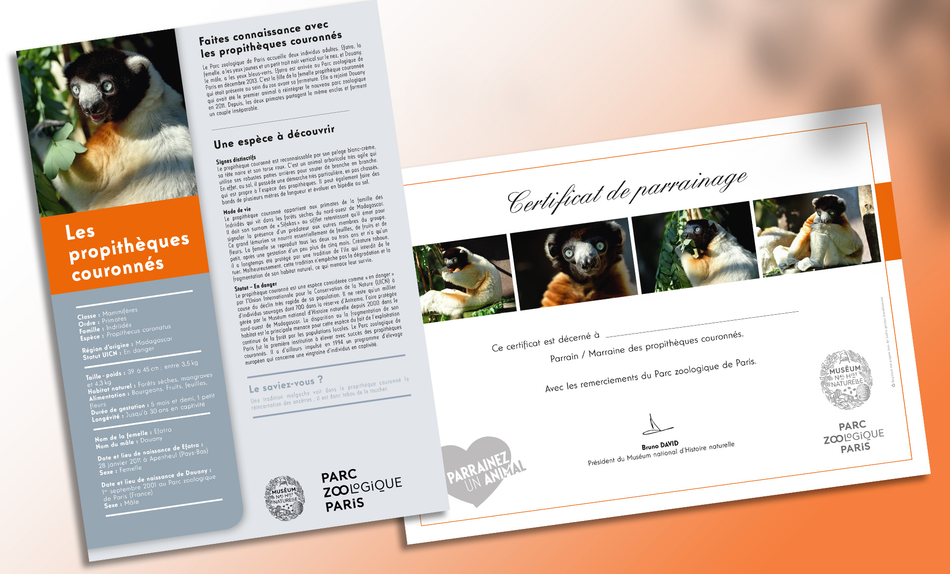 MNHN, Fiches et certificats Parrainage