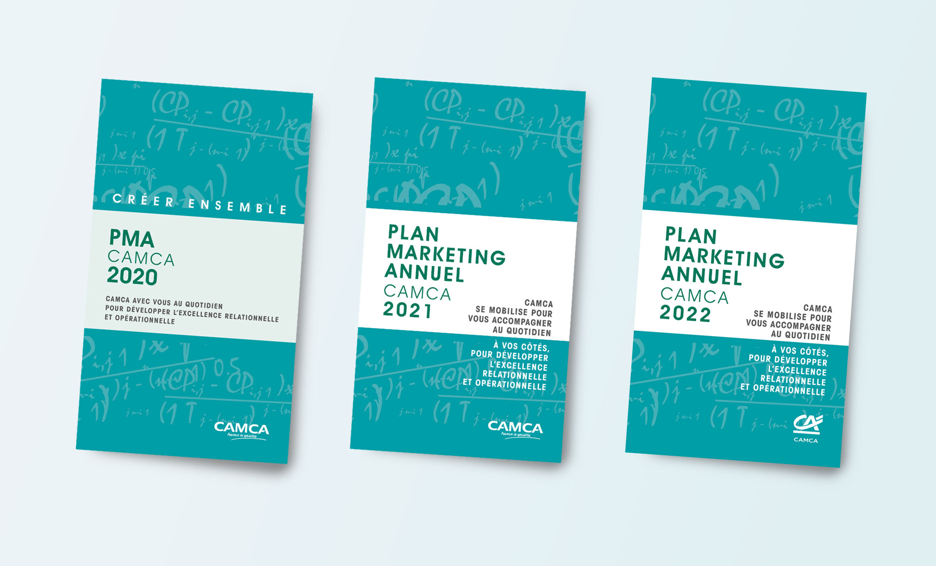 Camca, Plans Marketing Annuel